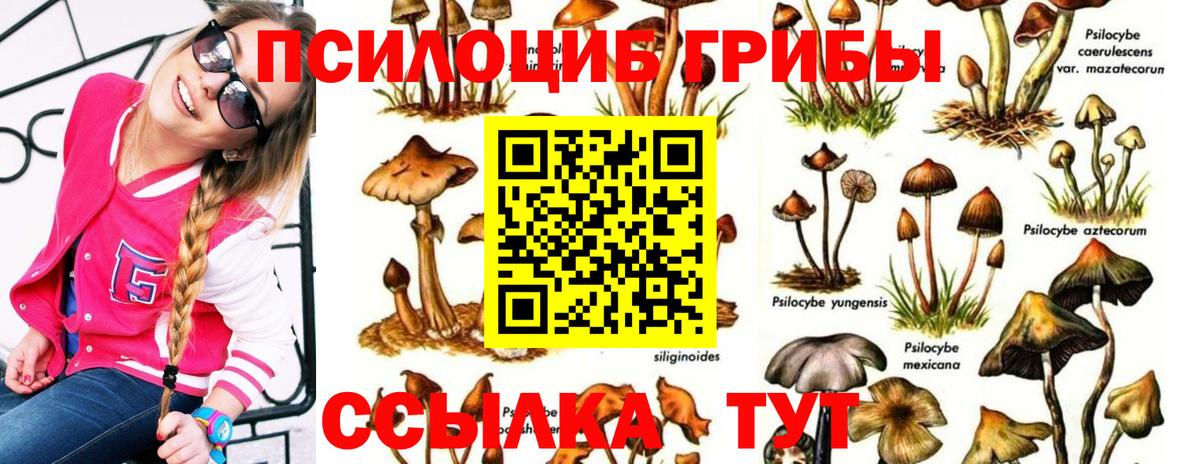 Заринск  Галлюциногенные грибы мицелий  Псилоцибиновые грибы Psilocybe  Вход с VPN 