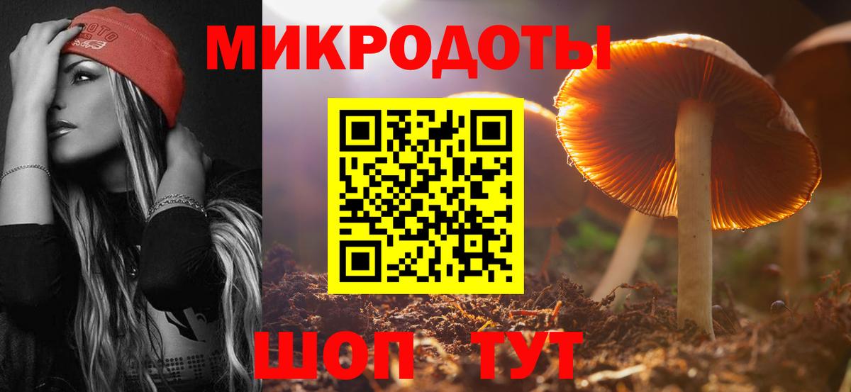 Псилоцибиновые грибы Cubensis Заринск
